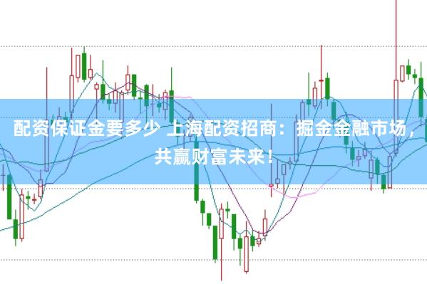 配资保证金要多少 上海配资招商：掘金金融市场，共赢财富未来！