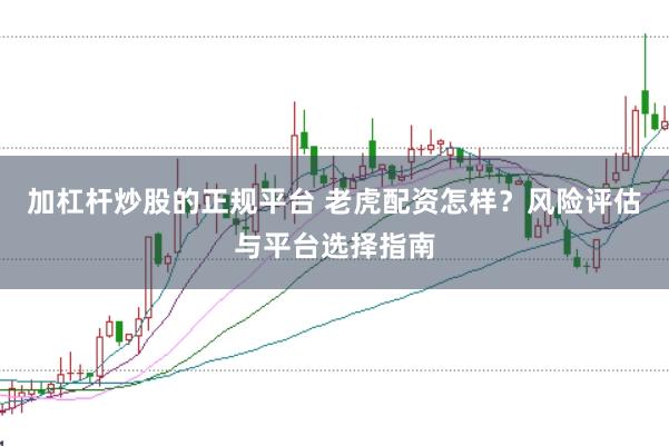 加杠杆炒股的正规平台 老虎配资怎样？风险评估与平台选择指南