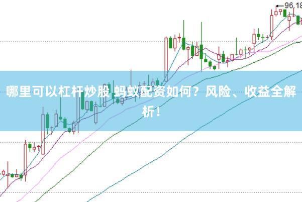 哪里可以杠杆炒股 蚂蚁配资如何？风险、收益全解析！