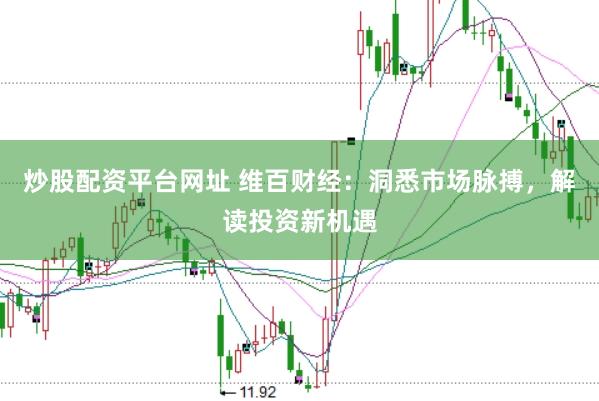 炒股配资平台网址 维百财经：洞悉市场脉搏，解读投资新机遇