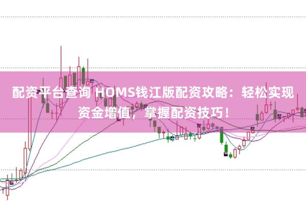 配资平台查询 HOMS钱江版配资攻略：轻松实现资金增值，掌握配资技巧！