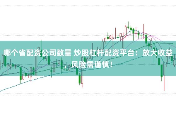 哪个省配资公司数量 炒股杠杆配资平台：放大收益，风险需谨慎！
