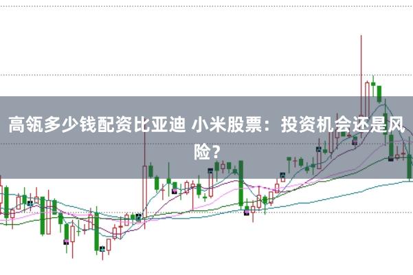 高瓴多少钱配资比亚迪 小米股票：投资机会还是风险？