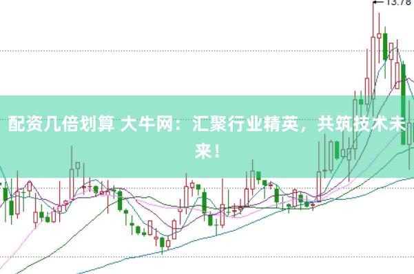 配资几倍划算 大牛网：汇聚行业精英，共筑技术未来！