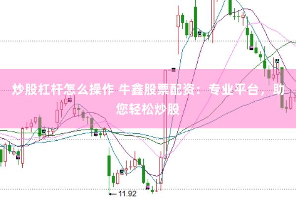炒股杠杆怎么操作 牛鑫股票配资：专业平台，助您轻松炒股