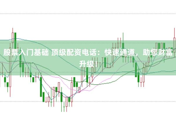 股票入门基础 顶级配资电话：快速通道，助您财富升级！