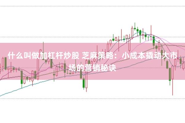 什么叫做加杠杆炒股 芝麻策略：小成本撬动大市场的营销秘诀