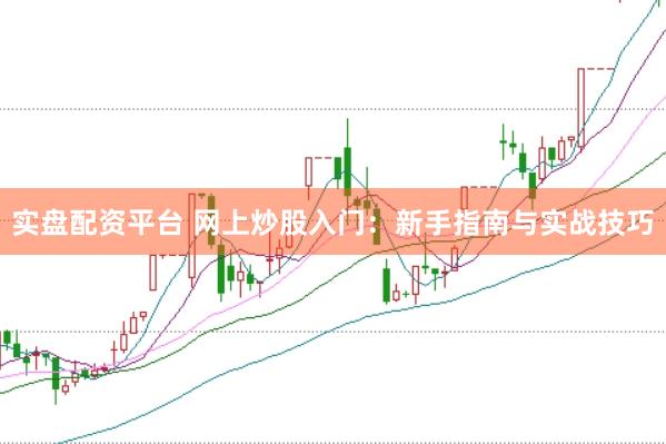 实盘配资平台 网上炒股入门：新手指南与实战技巧