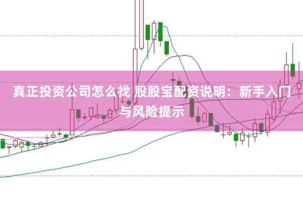 真正投资公司怎么找 股股宝配资说明：新手入门与风险提示