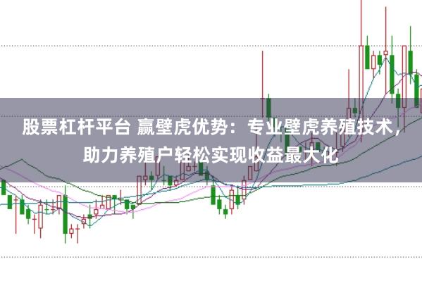 股票杠杆平台 赢壁虎优势：专业壁虎养殖技术，助力养殖户轻松实现收益最大化
