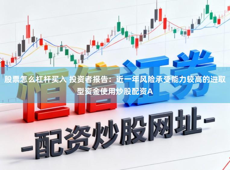 股票怎么杠杆买入 投资者报告：近一年风险承受能力较高的进取型资金使用炒股配资A