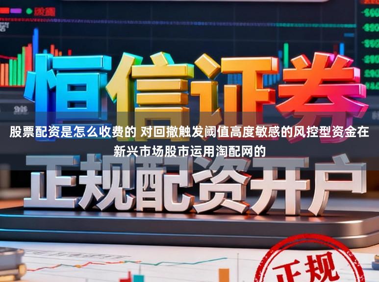 股票配资是怎么收费的 对回撤触发阈值高度敏感的风控型资金在新兴市场股市运用淘配网的