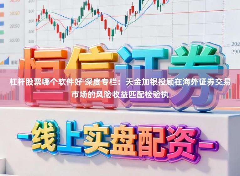 杠杆股票哪个软件好 深度专栏：天金加银投顾在海外证券交易市场的风险收益匹配检验执