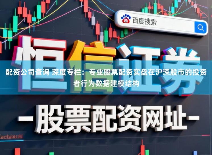 配资公司查询 深度专栏：专业股票配资实盘在沪深股市的投资者行为数据建模结构