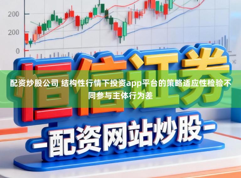 配资炒股公司 结构性行情下投资app平台的策略适应性检验不同参与主体行为差